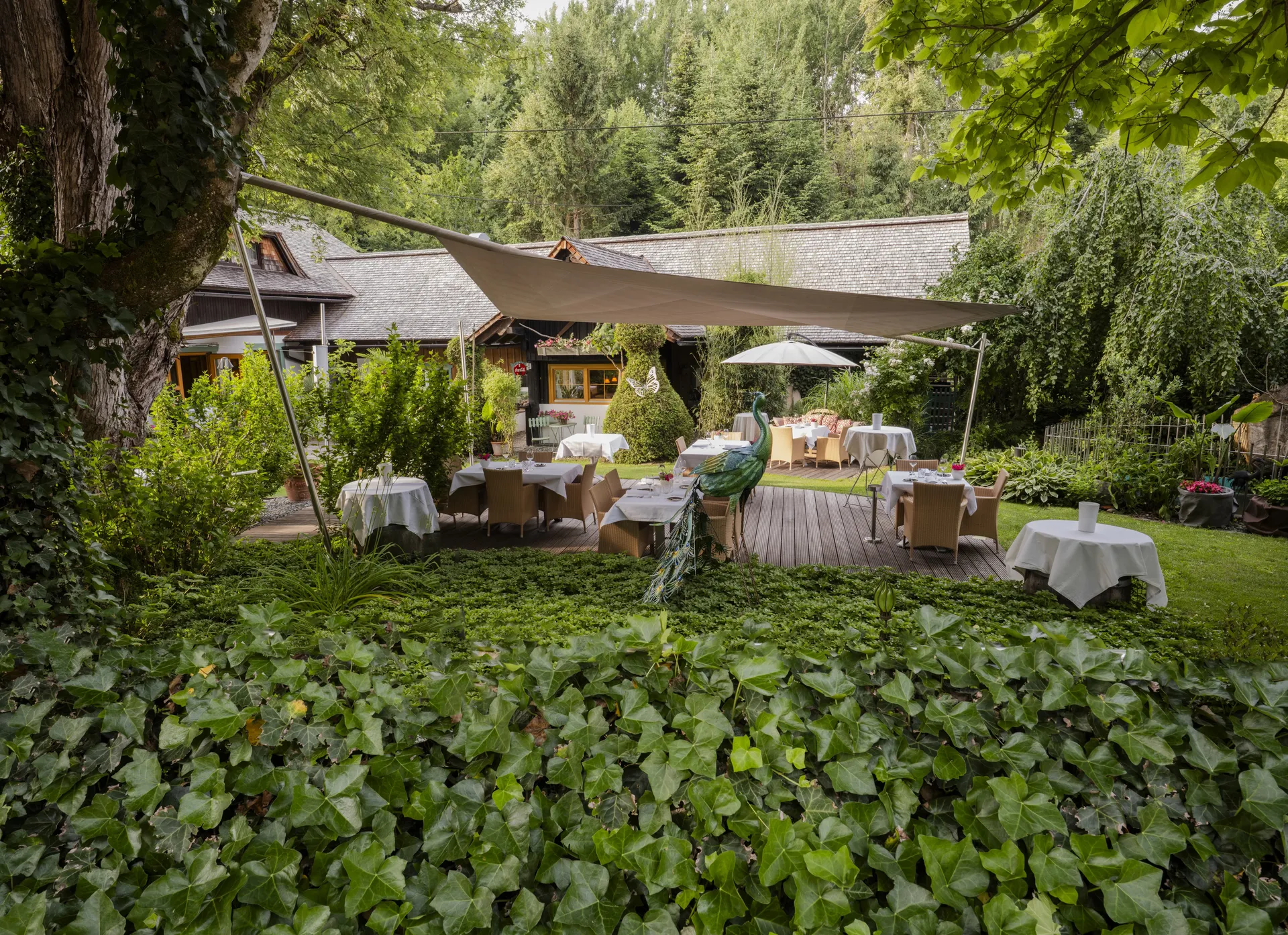 Pressefoto Restaurant Sicher